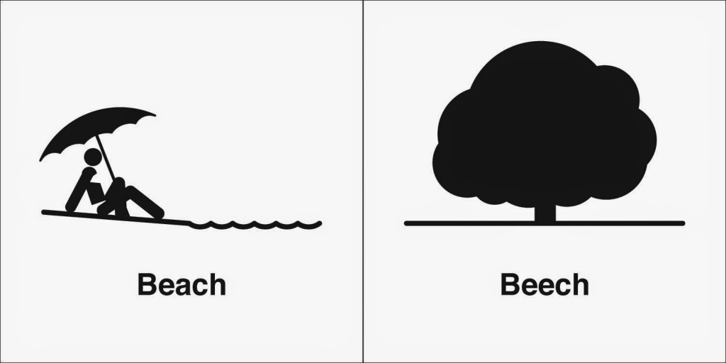 beach beech